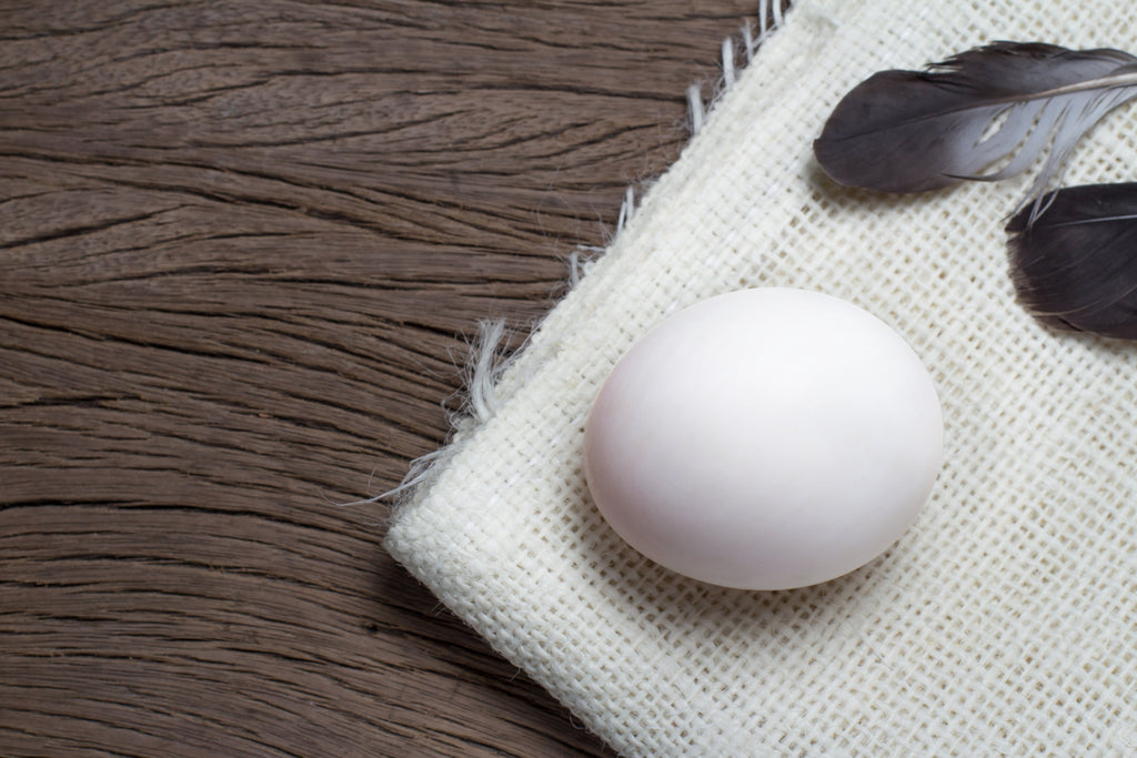 Manfaat Telur untuk Kecantikan dan Kesehatan